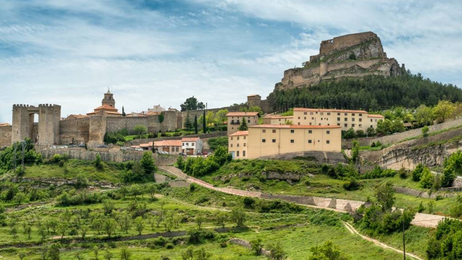 morella