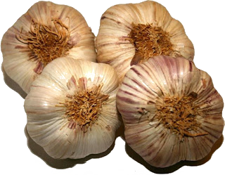 ajos