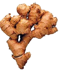 jengibre